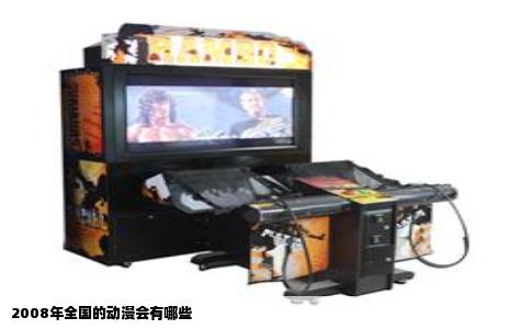 2008年全国的动漫会有哪些