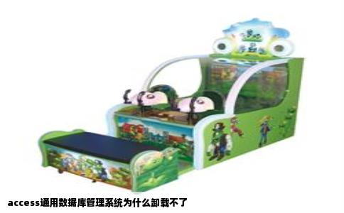 access通用数据库管理系统为什么卸载不了