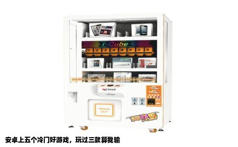 安卓上五个冷门好游戏，玩过三款算我输