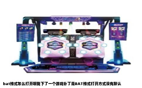 bat格式怎么打开啊我下了一个游戏补丁是BAT格式打开方式没有默认