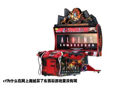 cf为什么在网上商城买了东西后游戏里没有呢