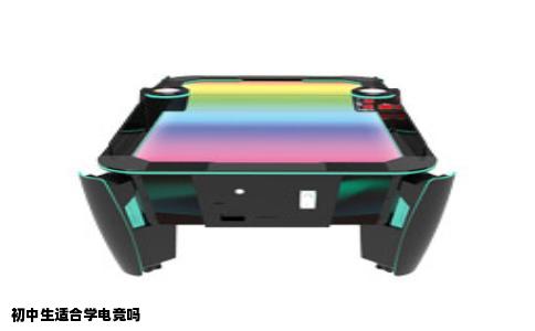 初中生适合学电竞吗