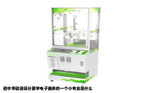 初中学动漫设计要学电子商务的一个小专业是什么