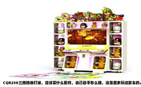 CQR250三档档齿打掉，应该买什么配件，自己动手怎么换，这是很多玩这款车的人迟早要面对的问题。这台车用的发动机主要是宗申NC250或者隆鑫的仿制版，虽然车架便宜，但发动机配件并不难找，关键是别买错型号。