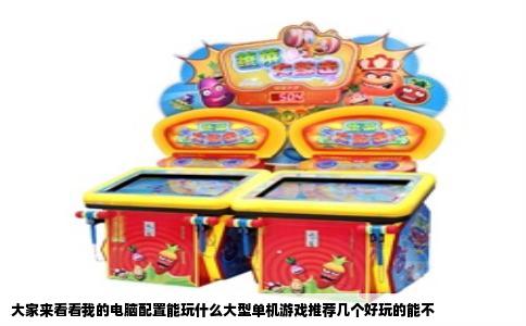 大家来看看我的电脑配置能玩什么大型单机游戏推荐几个好玩的能不