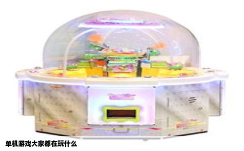 单机游戏大家都在玩什么