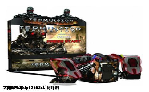 大阳摩托车dy12552c后轮碟刹