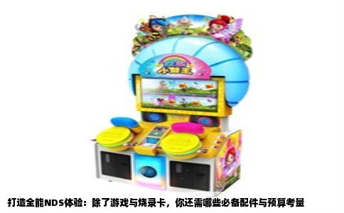打造全能NDS体验：除了游戏与烧录卡，你还需哪些必备配件与预算考量