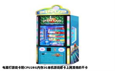 电脑打游戏卡啊CPU28G内存2G单机游戏都卡上网其他的不卡