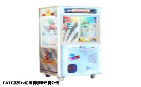 FATE系列tv动漫有哪些还有外传