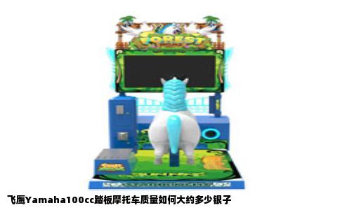 飞鹰Yamaha100cc踏板摩托车质量如何大约多少银子