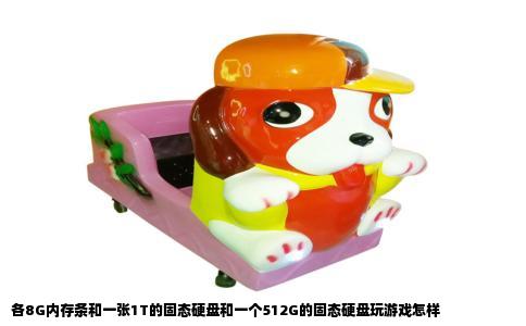 各8G内存条和一张1T的固态硬盘和一个512G的固态硬盘玩游戏怎样