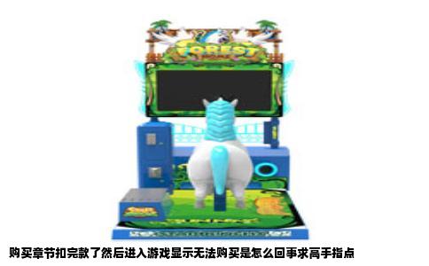 购买章节扣完款了然后进入游戏显示无法购买是怎么回事求高手指点