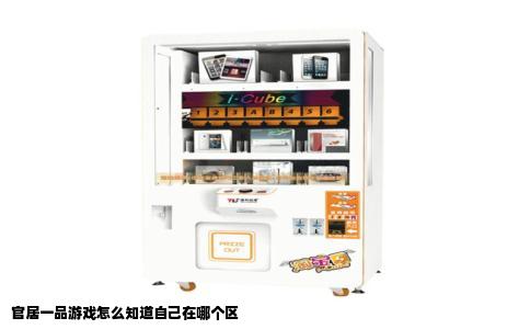 官居一品游戏怎么知道自己在哪个区