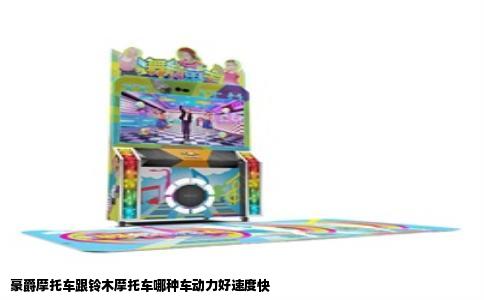 豪爵摩托车跟铃木摩托车哪种车动力好速度快