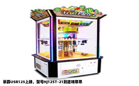 豪爵USR125上牌，型号HJ125T-21到底啥意思