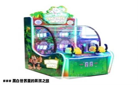 ### 黑白世界里的男孩之旅