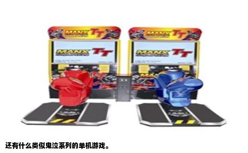 还有什么类似鬼泣系列的单机游戏。