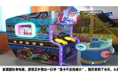 家里那台老电脑，屏幕正中弹出一行字“显卡不支持盛大”，我盯着看了半天，心里头那股火“噌”一下就上来了。大型网络游戏全灭，不是掉线，不是卡顿，是干脆连大门都不让进，直接把检票员给撤了。你说气不气人？可冷静下来一琢磨，这事真不能全怪盛大，显卡这口锅，背得有点冤，但也不是完全没道理。
