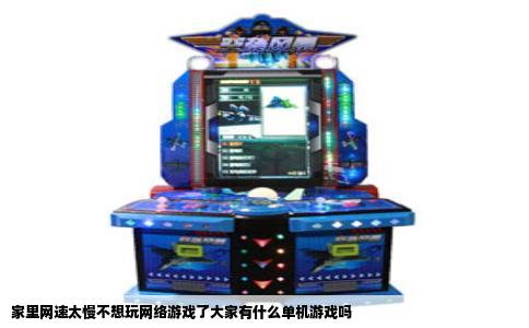 家里网速太慢不想玩网络游戏了大家有什么单机游戏吗