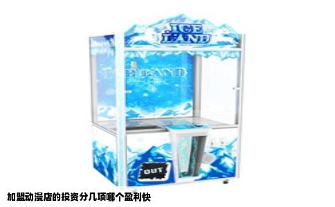 加盟动漫店的投资分几项哪个盈利快