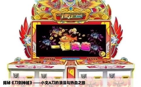 揭秘《刀剑神域》——小文A刀的浪漫与热血之旅