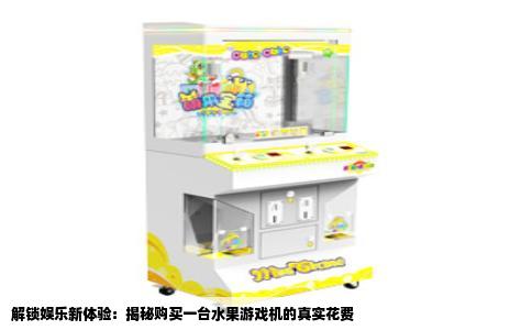 解锁娱乐新体验：揭秘购买一台水果游戏机的真实花费