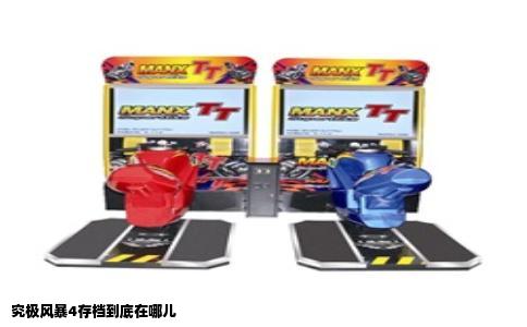 究极风暴4存档到底在哪儿