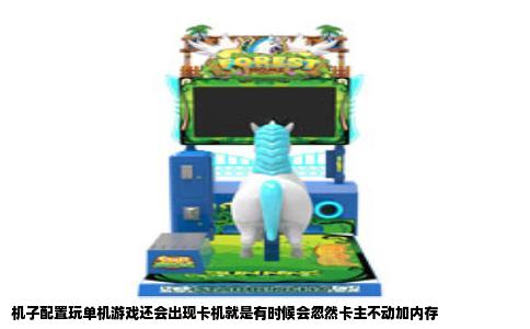 机子配置玩单机游戏还会出现卡机就是有时候会忽然卡主不动加内存