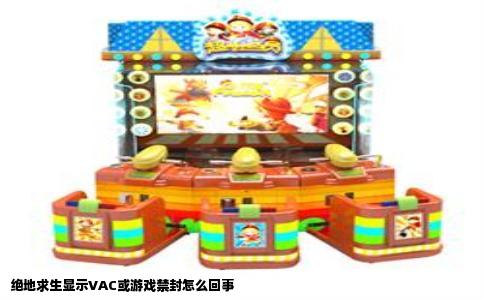 绝地求生显示VAC或游戏禁封怎么回事