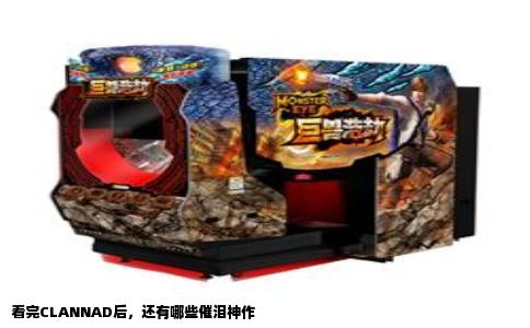 看完CLANNAD后，还有哪些催泪神作