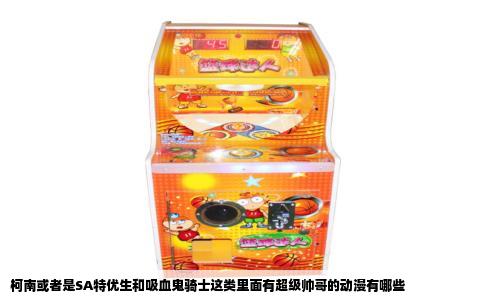 柯南或者是SA特优生和吸血鬼骑士这类里面有超级帅哥的动漫有哪些