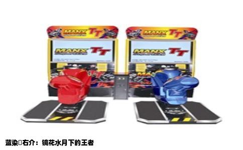 蓝染惣右介：镜花水月下的王者