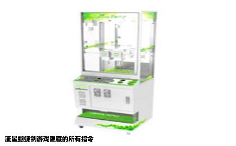 流星蝴蝶剑游戏隐藏的所有指令