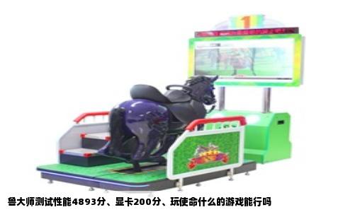 鲁大师测试性能4893分、显卡200分、玩使命什么的游戏能行吗