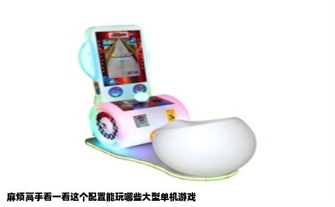 麻烦高手看一看这个配置能玩哪些大型单机游戏