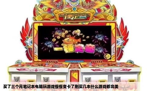 买了三个月笔记本电脑玩游戏慢慢变卡了刚买几本什么游戏都完美