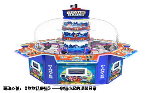 萌动心弦：《甜甜私房猫》——家猫小起的温馨日常