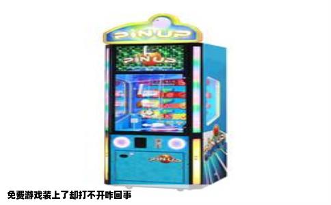 免费游戏装上了却打不开咋回事