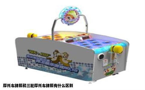 摩托车牌照和三轮摩托车牌照有什么区别