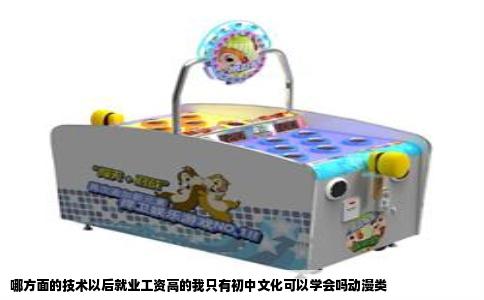 哪方面的技术以后就业工资高的我只有初中文化可以学会吗动漫类