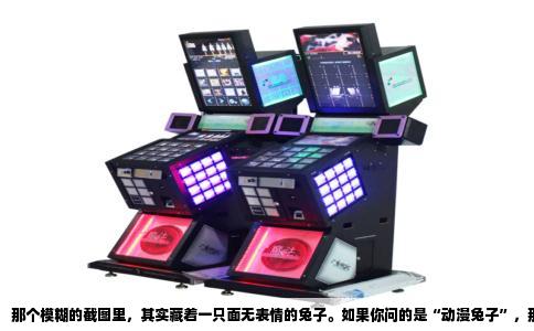 那个模糊的截图里，其实藏着一只面无表情的兔子。如果你问的是“动漫兔子”，那多半就是智乃了——不是国产动画里的兔娘，也不是网文里随便捏的吉祥物，而是《请问您今天要来点兔子吗？》里的那个小女孩。她名字里就有“兔子”的意思，本人也总戴着一只小兔子发饰，手里抱着提比（一只真正的兔子，也是她爷爷的化身）。这张图之所以流传广，大概是因为智乃那张“本来没表情，硬要挤出笑”的脸，配上屏幕前问“这是什么兔子”的你，形成了某种微妙的互文。