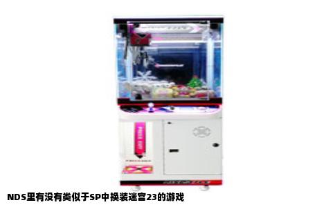 NDS里有没有类似于SP中换装迷宫23的游戏
