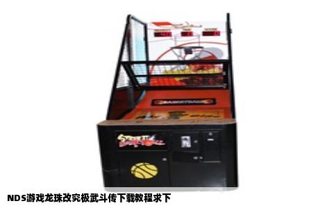 NDS游戏龙珠改究极武斗传下载教程求下