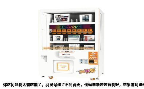 你这问题我太有感触了，羽灵号建了不到两天，代码辛辛苦苦复制好，结果游戏里形象纹丝不动，换谁都得急得跳脚。先说结论，你八成是掉进了“代码复制”和“实际生效”之间的某个坑里，跟等级和建号时间关系不大。