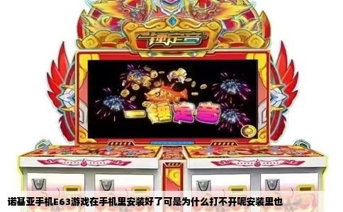 诺基亚手机E63游戏在手机里安装好了可是为什么打不开呢安装里也