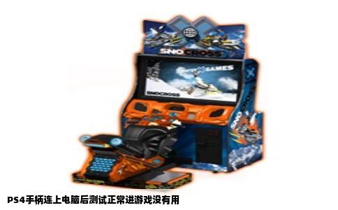 PS4手柄连上电脑后测试正常进游戏没有用