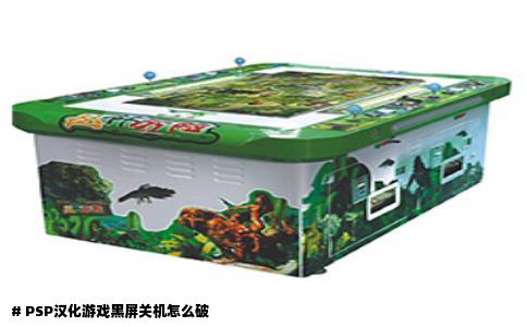 # PSP汉化游戏黑屏关机怎么破