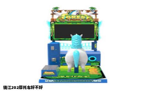 钱江202摩托车好不好