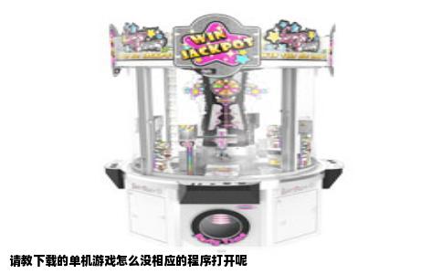 请教下载的单机游戏怎么没相应的程序打开呢